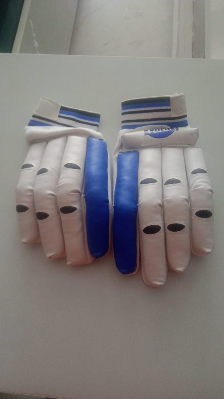 🏏 Product: Cricket Hand Gloves